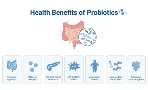 掌握Probiotics益生菌評價！提升健康的秘密武器是什麼？